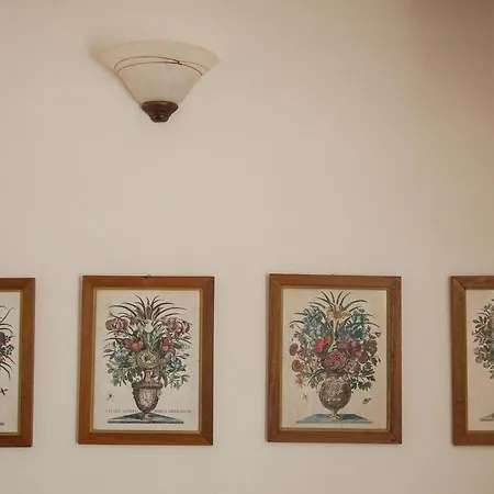 Degli Artisti